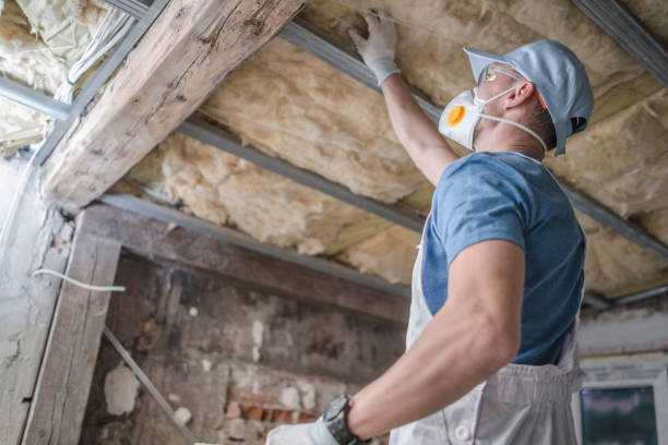 Best Residential Insulation in Point Pleasant, WV